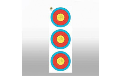 Les archers Pataras en compétition Tir en Salle : point au 24 décembre
